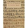 The Art of Medicine in Ancient Egypt (Metropolitan Museum of Art)