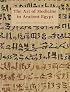 The Art of Medicine in Ancient Egypt (Metropolitan Museum of Art Series)
