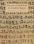 The Art of Medicine in Ancient Egypt (Metropolitan Museum of Art)