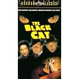Buy Black Cat (1941) [VHS]