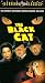 Black Cat (1941)
