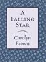 A Falling Star