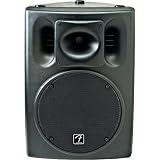 Fender ACE-12 - Speaker - 300 Watt - 2-way - black