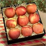 Peach Perfection