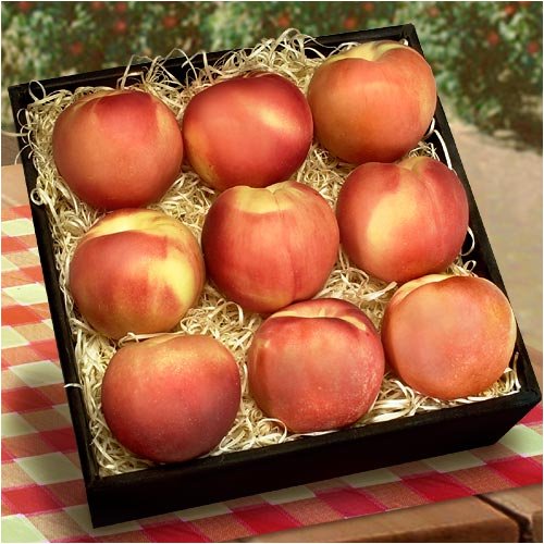 Peach Perfection by GotFruit.com