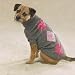 Zack & Zoey Tonal Argyle Sweater Med Gray