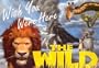 Wish You Were Here in the Wild (A Welcome Book)