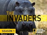 The Invaders: Bed Bug Doomsday