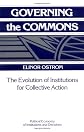 Governing the Commons