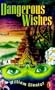 Dangerous Wishes
