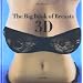 Va-big book of breasts 3d