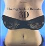 Big Book of Breasts in 3-D