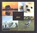 Magnificent Moments: The World's Greatest Wildlife Photographs