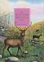 The Scottish Heather