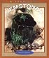 Gemstones (True Books: Earth Science)