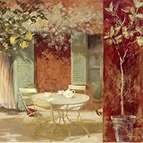 Lemon Courtyard Art Poster Print by Fabrice De Villeneuve, 20x20