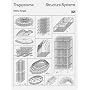 Structure Systems