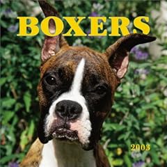Boxers Mini Wall Calendar: 2003