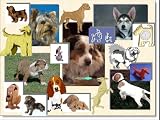Dog Clip Art & Stock Photo Clipart Images