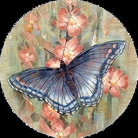 Set of Four Butterfly Garden Thirstystone Coasters - Style ts2152 by Thirstystone