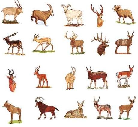 Brother Embroidery Machine Card HOOFED WILDLIFE