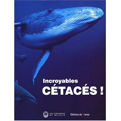 Incroyables cétacés !
