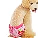 TOPSOSO Fashion shop Pet Apparel-M Pie Dog Diaper Dog Sanitary Pantie for Female Dogs Color random (pack of 2)