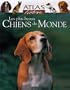 PLUS BEAUX CHIENS DU MONDE (LES)