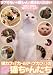 猫カフェ「カールアップカフェ」の猫ちゃんたち [DVD]