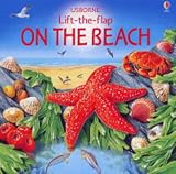 On the Beach (Lift the Flap Learners)