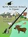 Book North American Animals in Origami
