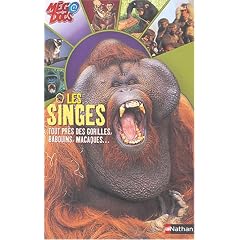 Les Singes : Tout pr�s des gorilles, babouins, macaques