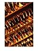 Cowboy Boots at El Paso Shop, Boston, Massachusetts, USA, Western Wear Photographic P...