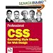 Professional CSS: Cascading Style Sheets for Web Design