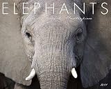 Elephants 2011 Calendar: Nature s Largest Masterpiece