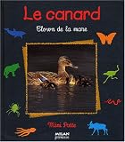 Le canard : Clown de la mare