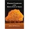 A foundation in Orthodox, Trinitarian Christianity