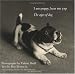 Book I Am Puppy Hear Me Yap: The Ages of Dog