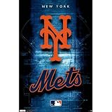 New York Mets Logo 2011 Poster Poster Print, 22x34