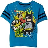 Batman Boys Batman and Robin Tee Shirt