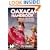 Moon Handbooks: Oaxaca (1st Ed.)