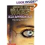 The Only Witness (Star Wars: Jedi Apprentice, 17)