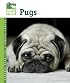 Pugs (Animal Planet Pet Care Library)