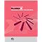 Flash and Generator Books