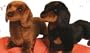 Stuffed Spats Black and Tan Dachshund Dog 14"