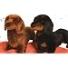 Stuffed Spats Black and Tan Dachshund Dog 14"