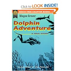 Dolphin Adventure