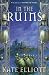 In the Ruins (Crown of Stars)