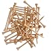 Sporting Goods : Wilson 3 1/4" Hot Golf Tees 75 Count (Natural)