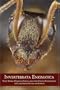 Invertebrata Enigmatica: Giant Spiders, Dangerous Insects, and Other Strange Invertebrates in Classic Science Fiction and Fantasy